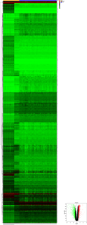 Click on image to zoom