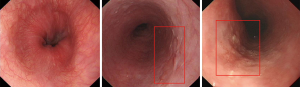 Click on image to zoom