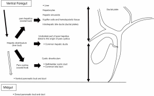 Click on image to zoom