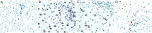 Click on image to zoom