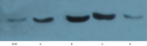 Click on image to zoom
