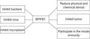 Click on image to zoom