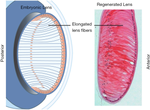 Click on image to zoom