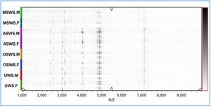 Click on image to zoom