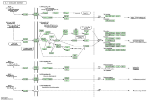 Click on image to zoom