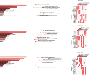 Click on image to zoom