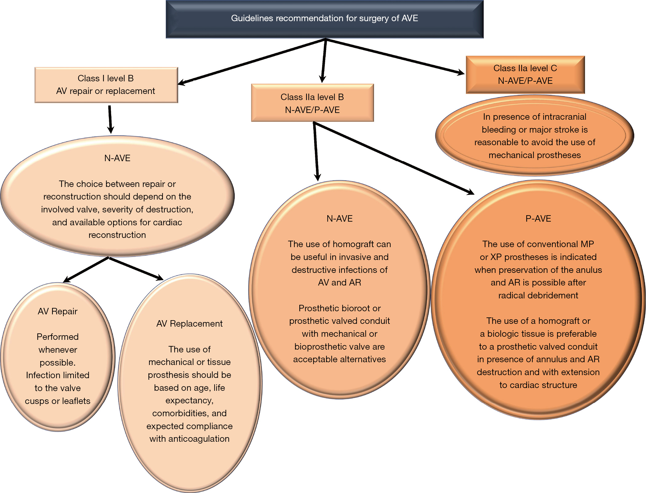 Revisiting The Guidelines And Choice The Ideal Substitute For Aortic Valve Endocarditis Nappi Annals Of Translational Medicine