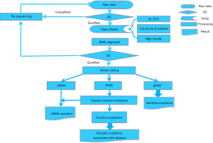 Click on image to zoom