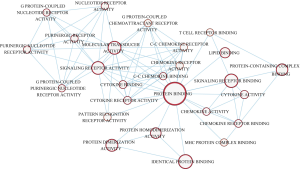 Click on image to zoom