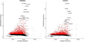 Click on image to zoom