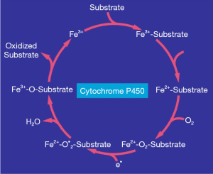 Click on image to zoom