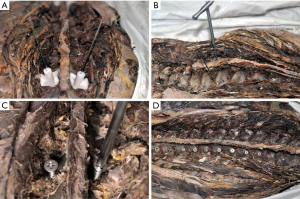 Click on image to zoom