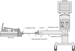 Click on image to zoom