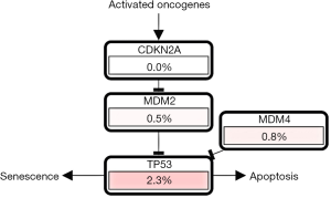 Click on image to zoom