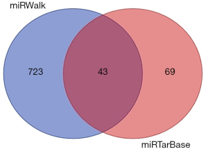 Click on image to zoom