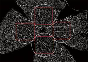 Click on image to zoom