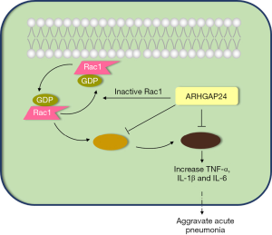 Click on image to zoom