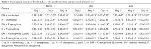 Click on image to zoom Table 1