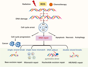 Click on image to zoom