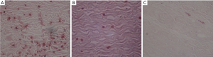 Click on image to zoom