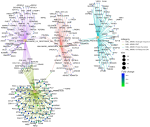 Click on image to zoom