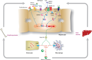 Click on image to zoom