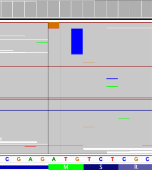 Click on image to zoom