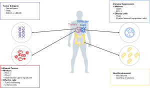 Click on image to zoom