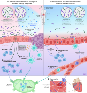 Click on image to zoom