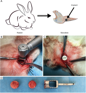 Click on image to zoom