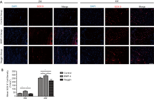 Click on image to zoom