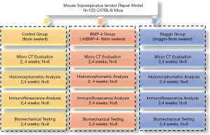 Click on image to zoom