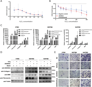 Click on image to zoom