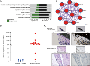 Click on image to zoom