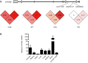 Click on image to zoom