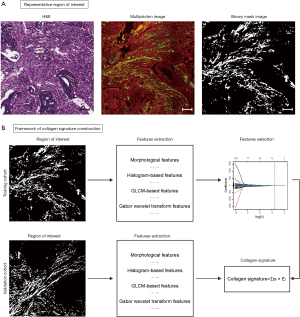 Click on image to zoom