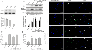 Click on image to zoom