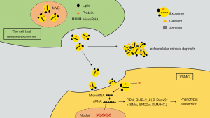 Click on image to zoom