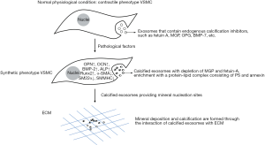 Click on image to zoom