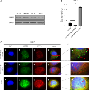 Click on image to zoom