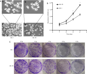 Click on image to zoom