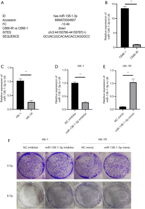 Click on image to zoom