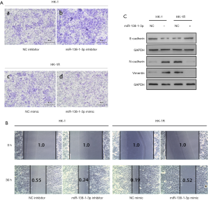 Click on image to zoom