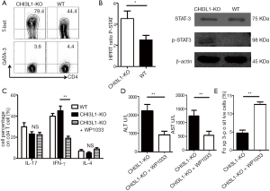 Click on image to zoom