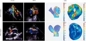 Click on image to zoom