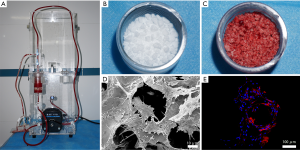 Click on image to zoom