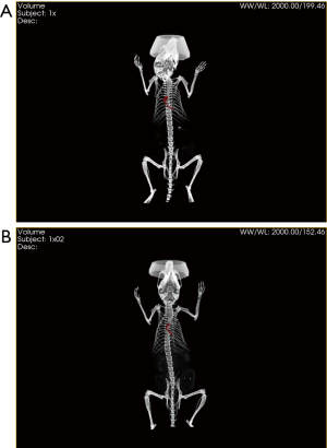 Click on image to zoom
