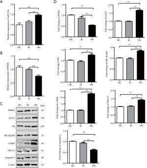 Click on image to zoom