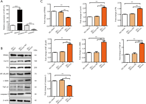 Click on image to zoom