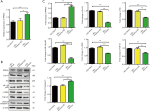 Click on image to zoom